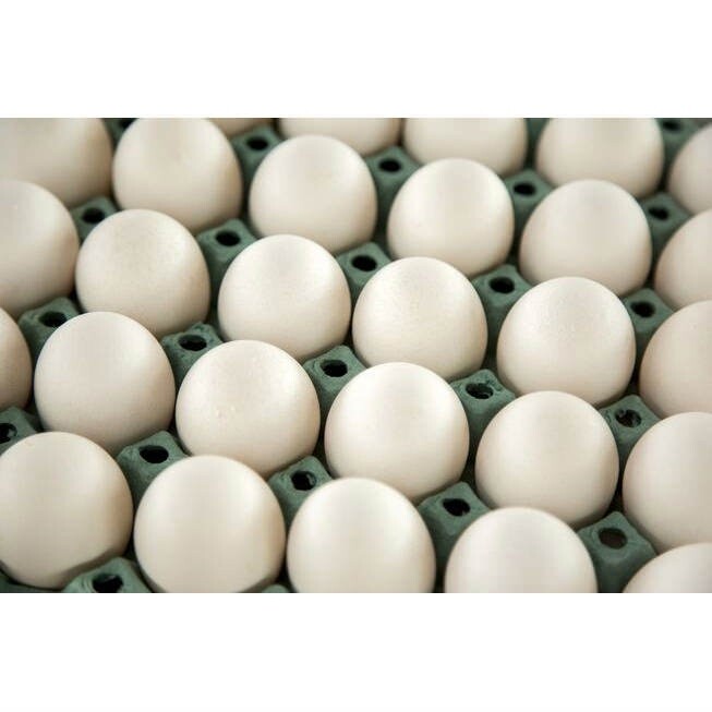 Huevo extra blanco  30 unidades