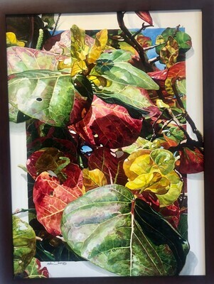 Robin Lee Markowski - Symphonic Sea Grape 00282