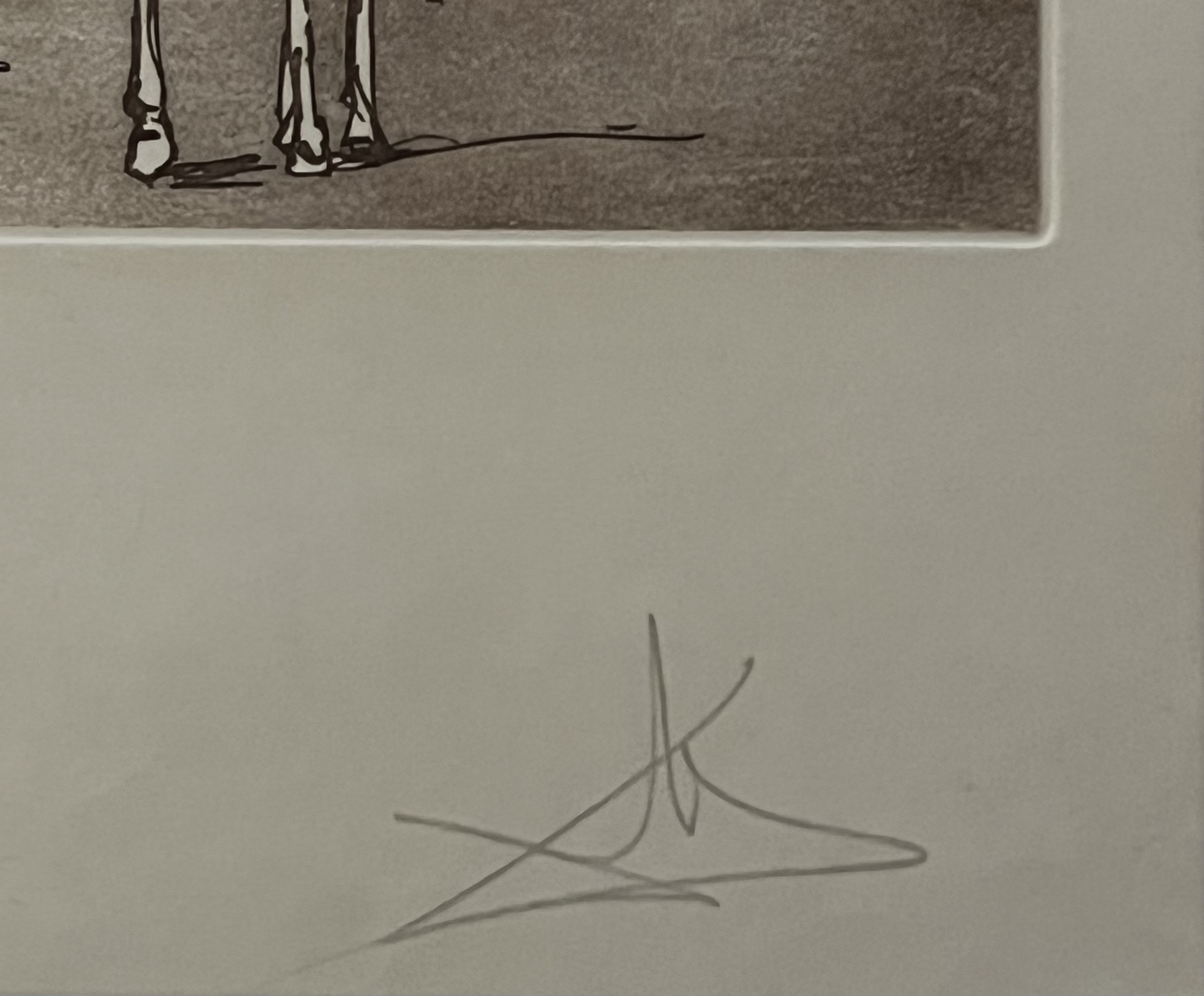 Salvador Dali - Don Quixote -Impossible Dream