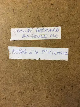 Claude Benard - Robole a la St. Victoire