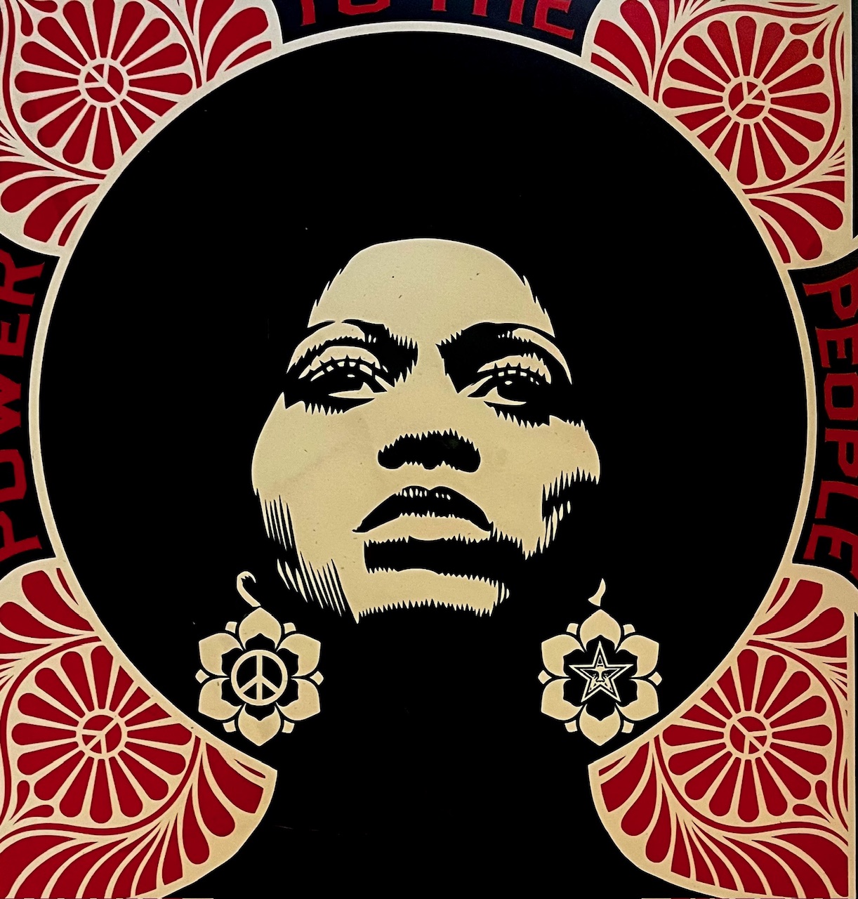 Shepard Fairey - Power and Equality