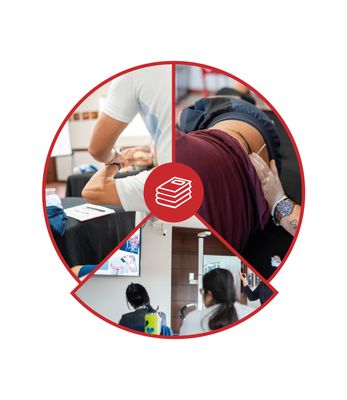Cursos