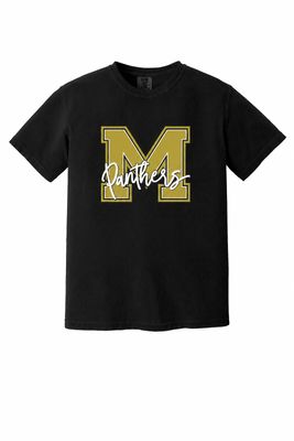 Scripted Panthers Design
