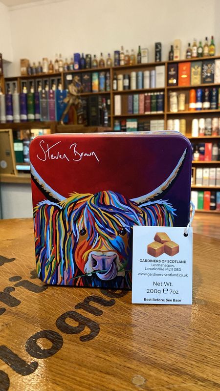 Lizzie McCoo Salted Caramel Fudge 200g