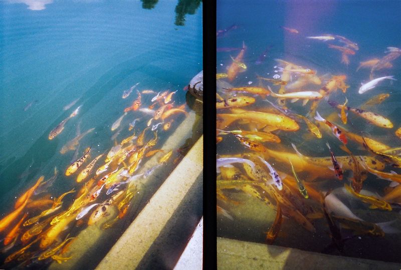 Souvenirs du Vietnam