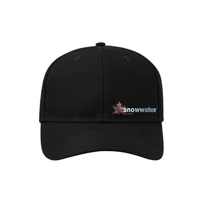 Snowwater NewEra SnapBack Hats