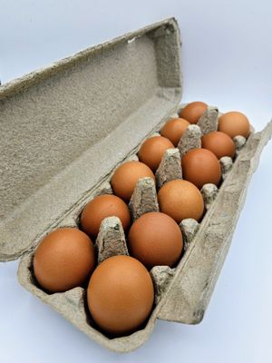 Farm Fresh Eggs 00003