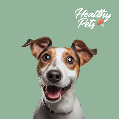 Healthy Pets