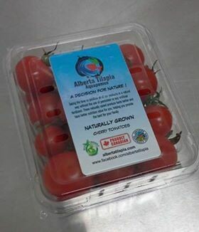 Cherry Tomatoes