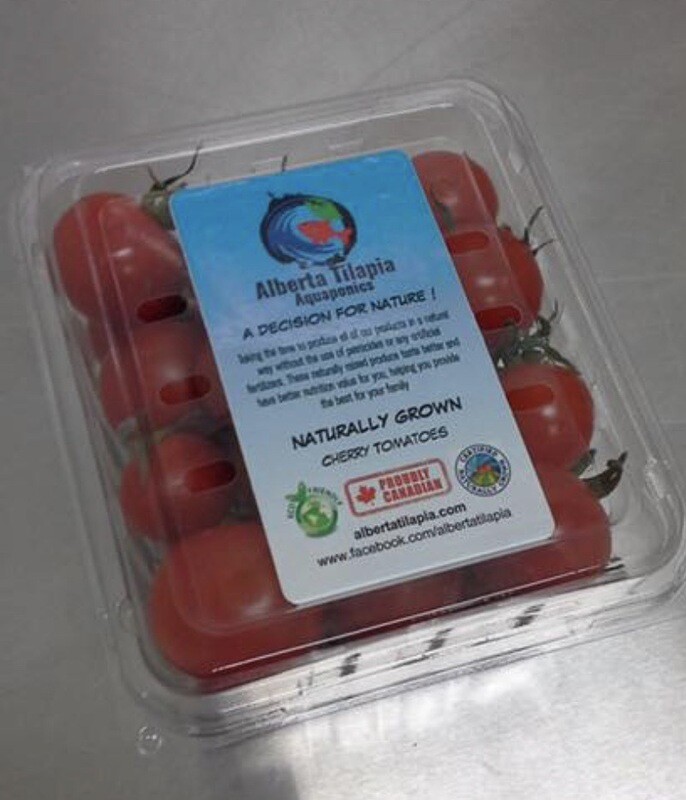 Wholesale Cherry Tomatoes, 12 Pieces 