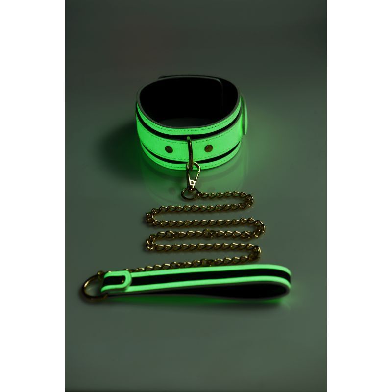 Master Series - Glowing Collar w/ Leash