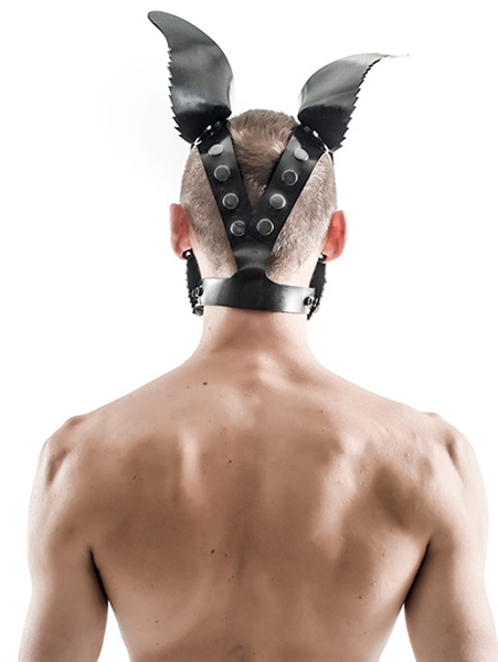 Mister B - FETCH Rubber Dog Hood