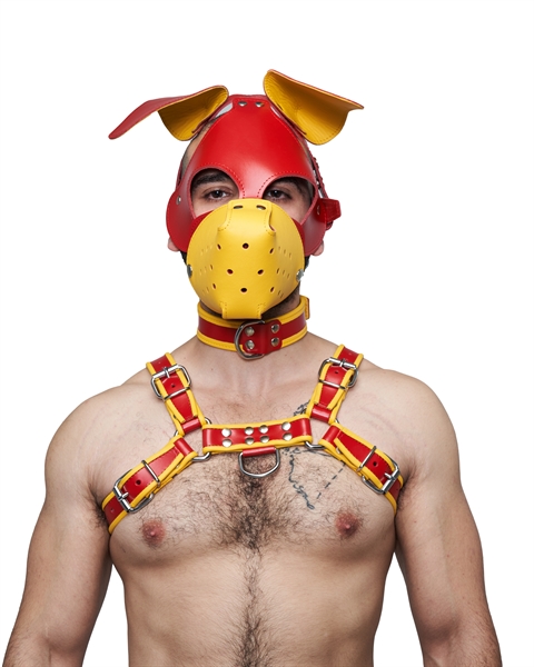 Mister B - Leather Floppy Dog Hood - Red/Yellow