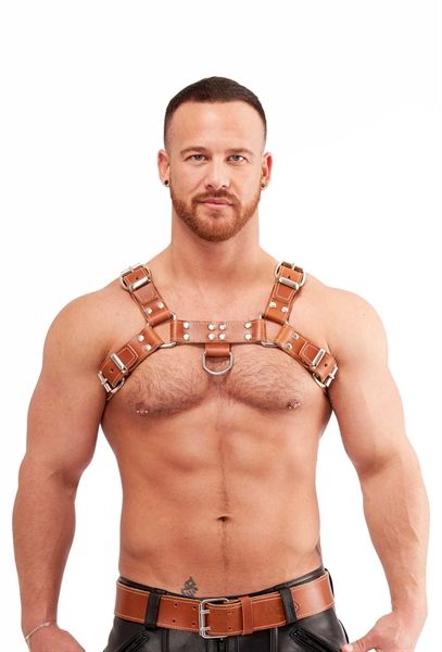 Mister B - Leather Saddle Chest Harness - Brown