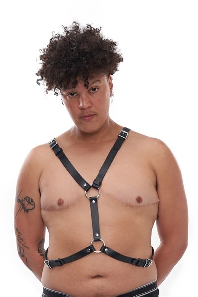 Mister B - Serve Leather Star Harness