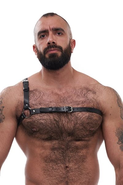 Mister B - Serve Leather Style Harness