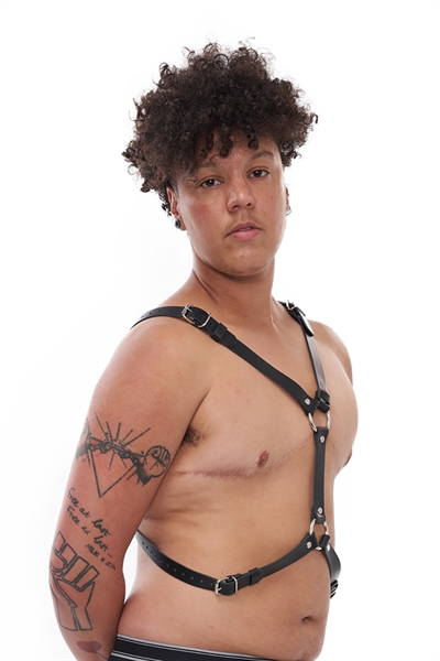 Mister B - Serve Leather Star Harness