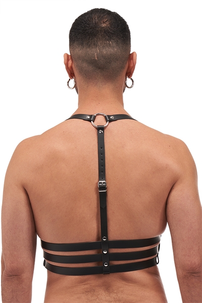 Mister B - Serve Leather Legend Harness