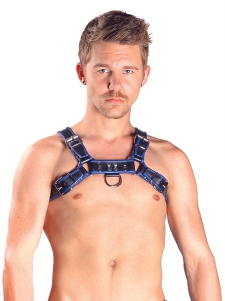Mister B - Leather Chest Harness - Blue/Black