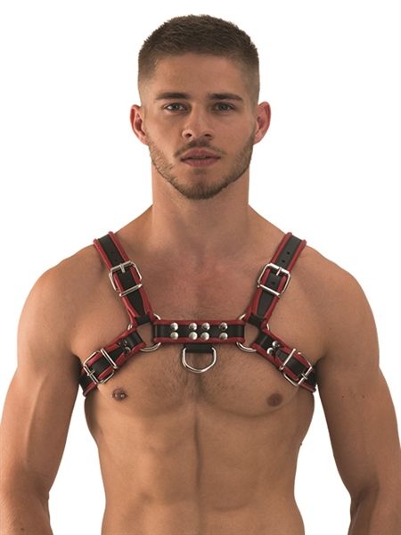Mister B - Leather Chest Harness - Red/Black