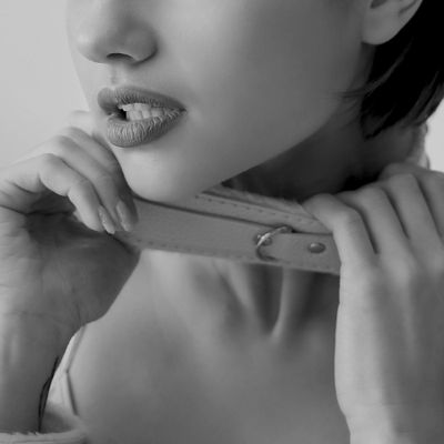Collars & Leads