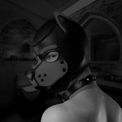 Puppy Hoods