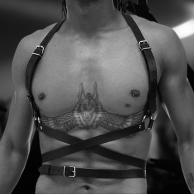 Harnesses