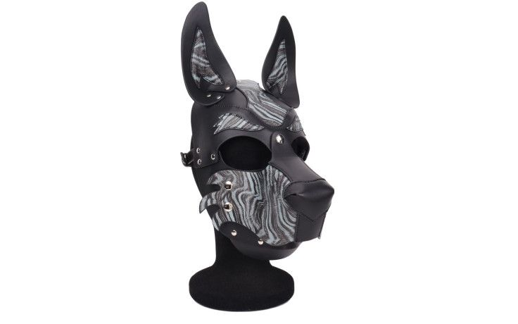 Daytona - Premium Puppy Play Hood - Blue