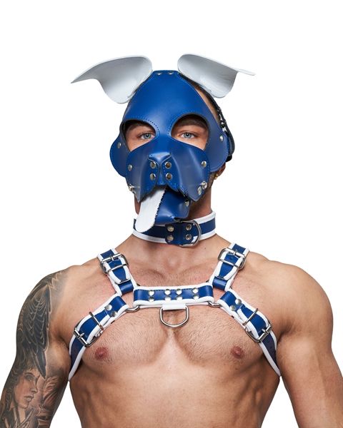 Mister B - Leather Floppy Dog Hood - Blue/White Mister B - Leather Floppy Dog Hood - Blue/White
