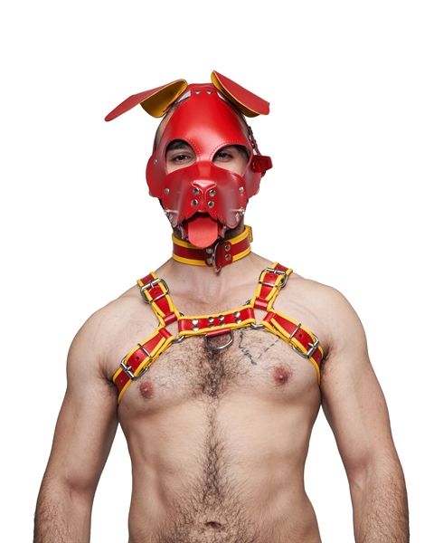 Mister B - Leather Floppy Dog Hood - Red/Yellow Mister B - Leather Floppy Dog Hood - Red/Yellow
