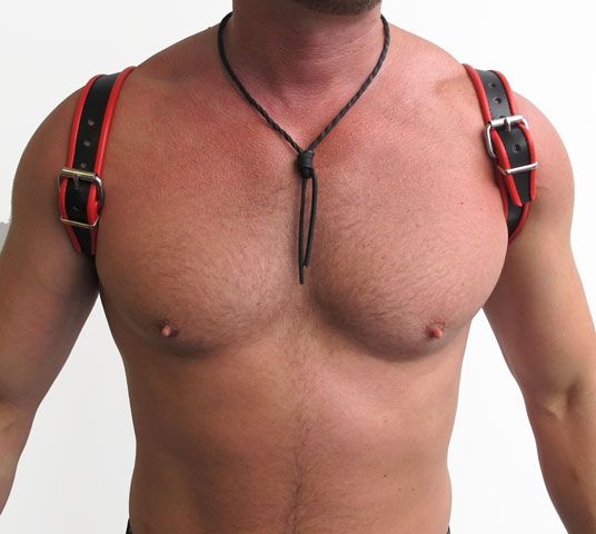 Mister B - Leather Halter Harness - Red/Black