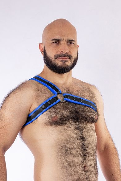 Mister B - Neoprene Triangle Harness - Blue/Black