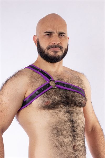 Mister B - Neoprene Triangle Harness - Purple/Black Mister B - Neoprene Triangle Harness - Purple/Black