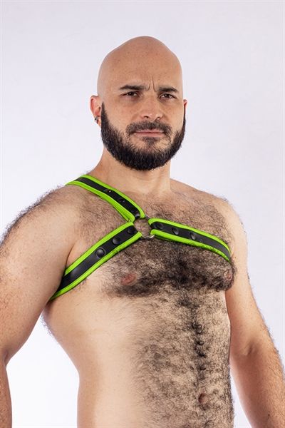 Mister B - Neoprene Triangle Harness -Green/Black