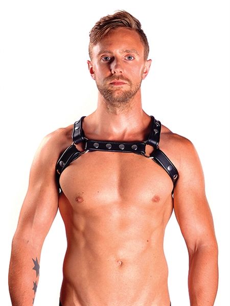 Mister B - Premium Leather X-Back Harness - Black