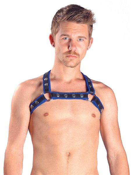 Mister B - Premium Leather X-Back Harness - Blue/Black