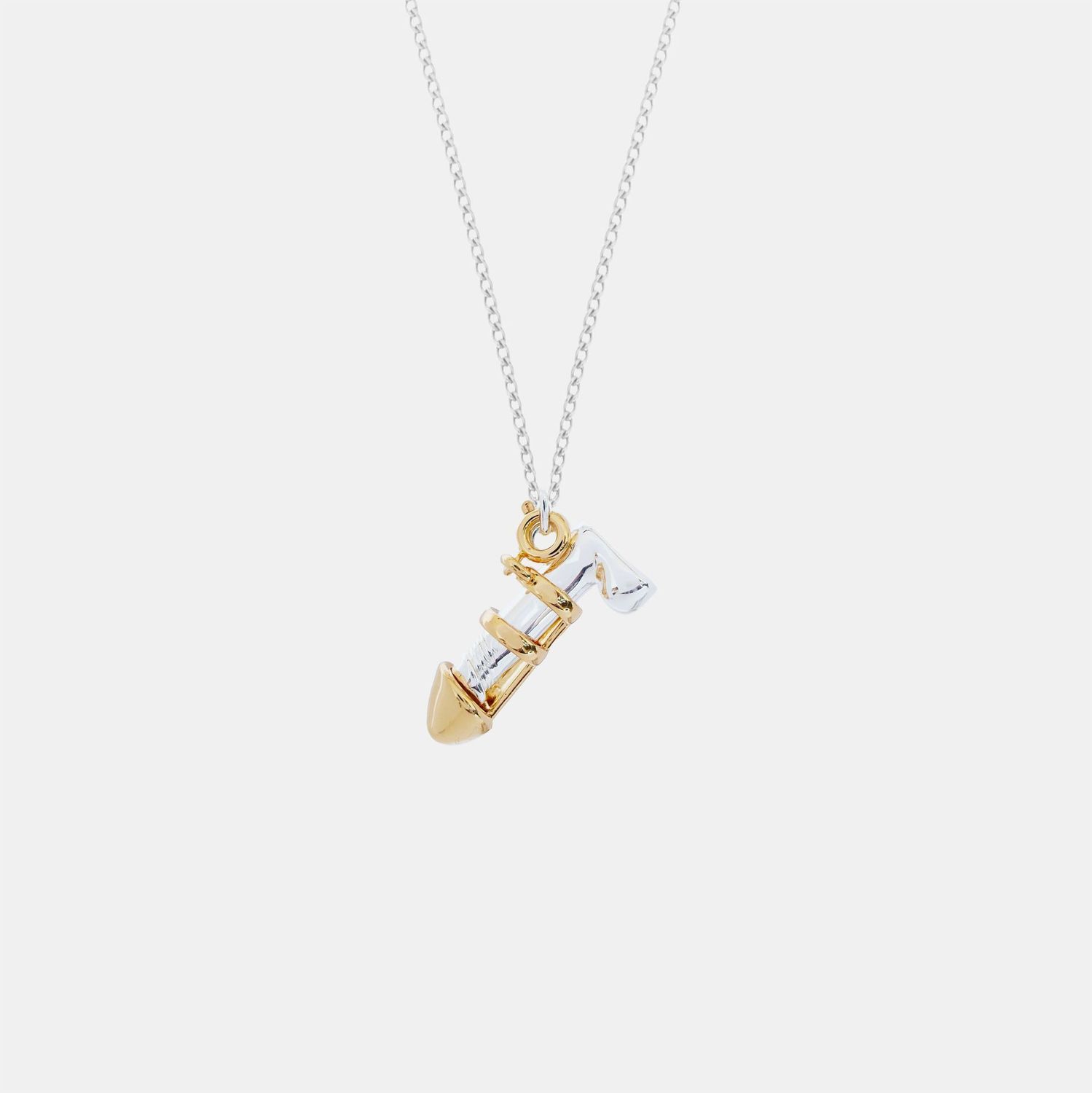 Hoemo World - Caged Dick Pendant Necklace - Silver