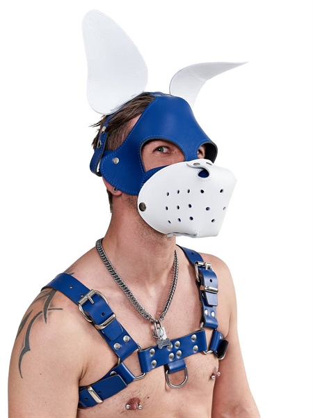 Mister B - Leather Shaggy Dog Hood - Blue/White