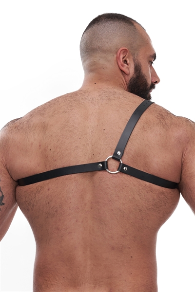 Mister B - Serve Leather Style Harness