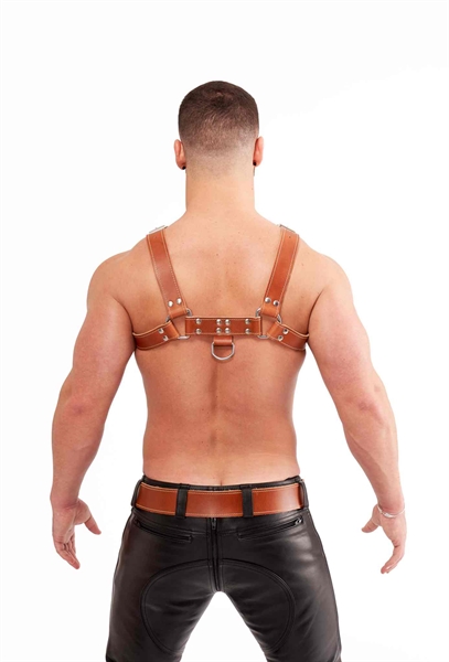 Mister B - Leather Saddle Chest Harness - Brown