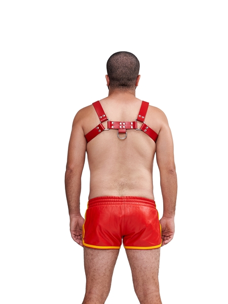 Mister B - Leather Saddle Chest Harness - Red