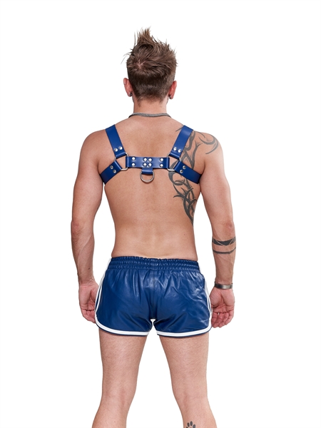 Mister B - Leather Saddle Chest Harness - Blue