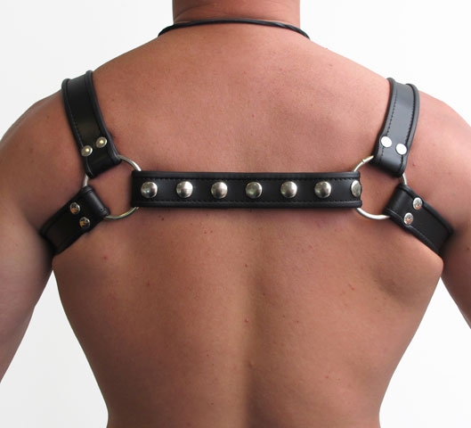 Mister B - Leather Halter Harness - Black
