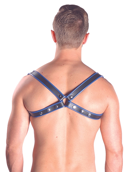 Mister B - Premium Leather Sling Harness - Blue/Black