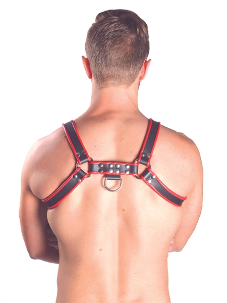 Mister B - Leather Chest Harness - Red/Black