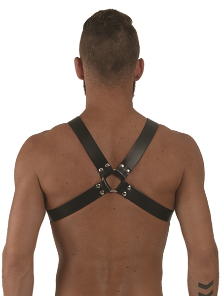 Mister B - Leather Y-Front Harness