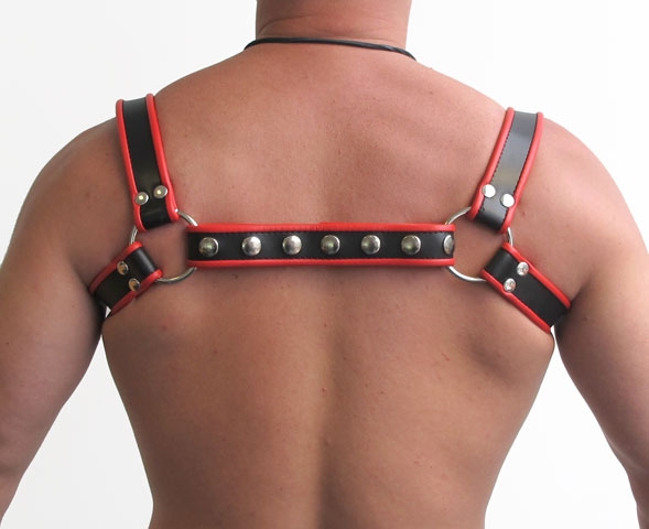 Mister B - Leather Halter Harness - Red/Black