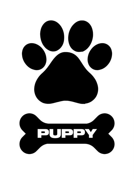 Mister B - Temporary Tattoo - Puppy Pack Mister B - Temporary Tattoo - Puppy Pack