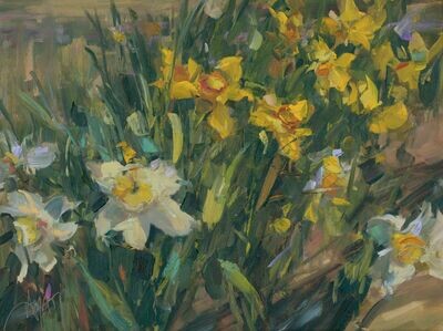 Flurry of Daffodils
