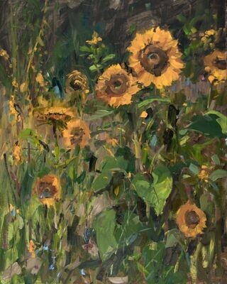 Sunflowers of Hope